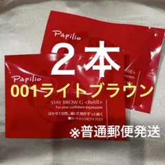 新品未開封〈リフィル〉×2本〈◇002チャコール〉パピリオ ステイ