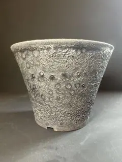 作家鉢 陶器鉢 信楽焼 美濃焼 アガベ 観葉植物 多肉植物