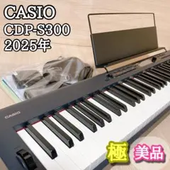 2026年最新】casio cdp-s300の人気アイテム - メルカリ
