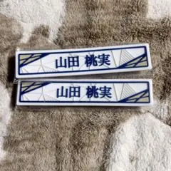 櫻坂46 山田桃実 ケーブルクリップ まとめ売り