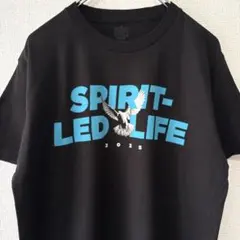 GILDAN アニマルTシャツ 白ハト 鳥 メッセージ メンズ L /125
