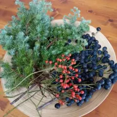 ヒムロスギ　シャリンバイ　野薔薇の実　リース材料 セット　ネコポス発送