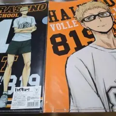 ハイキュー!! 烏野高校 クリアファイル 月島蛍11　２枚入