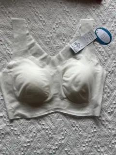 Item thumbnail for item 2d28cb86-f81a-4163-a011-fac4108404cd