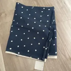 Item thumbnail for item 2ec015af-084b-49a9-a79e-e25cd2fab241