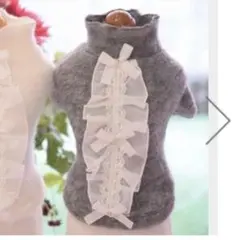 Item thumbnail for item 5f3bdec0-29d4-4a92-aeed-cee52ae4b34f