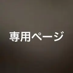 専用ページ