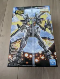 MG 1/100 GX-9901-DX ガンダムダブルエックス 新品未組立 - メルカリ