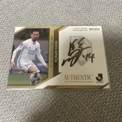 Item thumbnail for item 9b3968db-d060-462a-92f1-a945c08f89d9