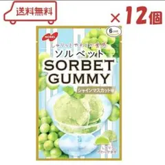 【最安値送料無料12袋】 ノーベル ソルベット グミ シャインマスカット aのサムネイル