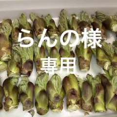 らんの様　専用です 山菜　野菜