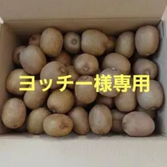 【ヨッチー専用】愛媛県産　キウイフルーツ　75~85g　5kg