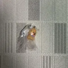 スキズ めじるしアクセサリー