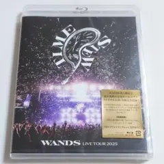 カリキチWANDSファンミフォトブック カリキチWANDSファンミフォトブック 2026年最新】Wands フォトブックの
