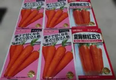 さち様 リクエスト 2点 まとめ商品