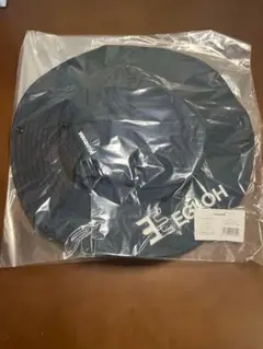 2026年最新】マイスターハット エギ王の人気アイテム - メルカリ