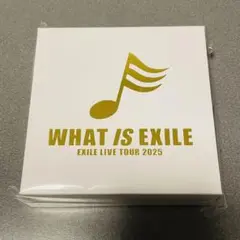 EXILE TETSUYA メンプロ　イヤーカフ＆バングルセット