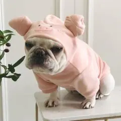 犬服　Sサイズ　セール　ハロウィン　ブタさん　コスプレ　パグ　豆柴　小型犬