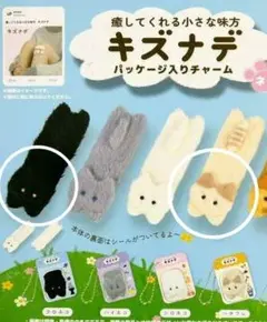 キズナデ パッケージ入りチャーム ハチワレ　クロネコ　バンソーコ　絆創膏