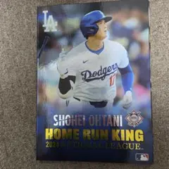 2023年大谷翔平ホームラン王獲得記念プレミアムポストカードセット