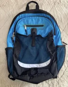 【希少】90s L.L.Bean ビンテージ　リュック made in USA