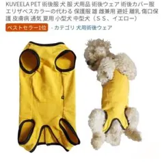 Item thumbnail for item 02f524c6-ff83-4a69-8575-8752e01ee0c9