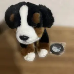 レガロ リアルドッグコレクション バーニーズ・マウンテン・ドッグ小　おまけあり