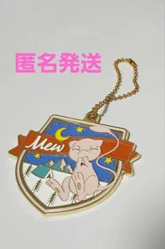 一番くじ　ポケモンナイトキャンプ　メタルチャームのサムネイル