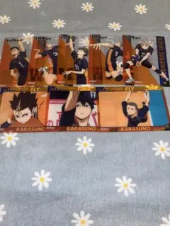 バラ売り⭕️ハイキュー!! クリアカードコレクション4 烏野