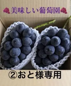 ②おと様専用ナガノパープル2房