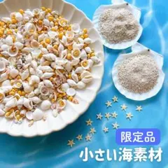 海素材セット　限定品　お買い得　デコ　ホイップ　アレンジ　海　レジン　封入　貝殻