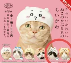 かわいいかわいいねこのかぶりもの ちいかわ