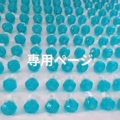 専用ページ 11月用