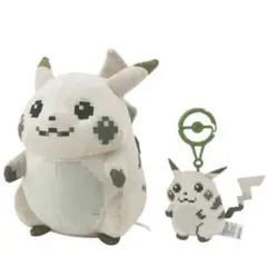 はじまりのピカチュウ　2点セット