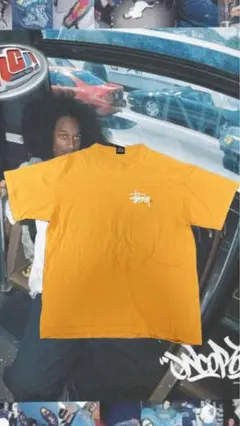 Stüssy オレンジ Tシャツ バックプリント