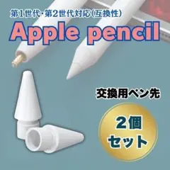Apple Pencil ペン先 交換用 替え芯 2個