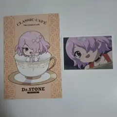 Dr.STONE ドクスト amo カフェ ルーナ 場面写ブロマイド ポスカ