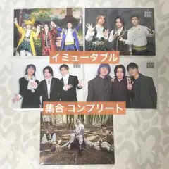 Mrs. GREEN APPLE イミュータブル フォトカード 集合 コンプ