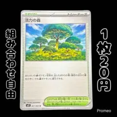 【残7枚】メガシンフォニア 活力の森 m1S