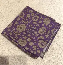 Item thumbnail for item 747cea58-eb3f-447f-9a04-38d9465d644c