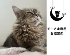 モーさま専用 お取置きのサムネイル