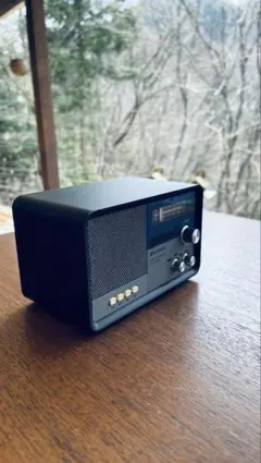 2026年最新】サンスイ msr-1の人気アイテム - メルカリ