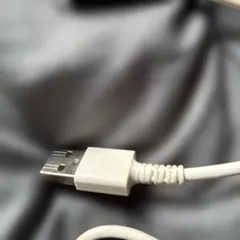Lightning USB 充電ケーブル