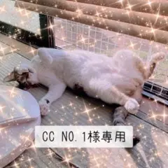 CC NO.1様 リクエスト 5点 まとめ商品