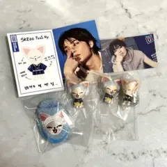 Stray Kids アイエン　フォクシニー