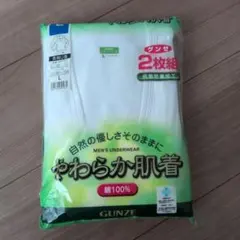 GUNZE やわらか肌着 Lサイズ 2枚組　長袖