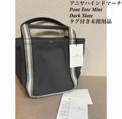 アニヤハインドマーチ　Pont Tote Mini トート Dark Slateのサムネイル