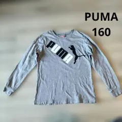 PUMA プーマ ロンT グレー 160