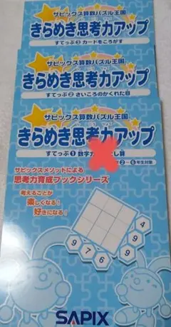 デイリーサピックス算数　２年生　2025年全17冊 Amazon.co.jp: SAPIX デイリーサピックス 小学6年 算数 全38冊