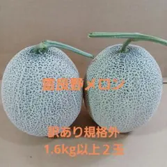 2.富良野赤肉メロン訳あり規格外　1.6kg以上２玉のサムネイル